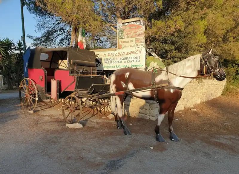 il Piccolo Ranch — Reiten