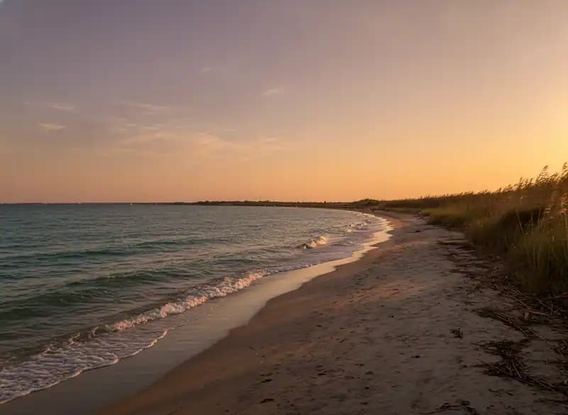 Spiaggia Zona A AMP Torre Guaceto — Carovigno