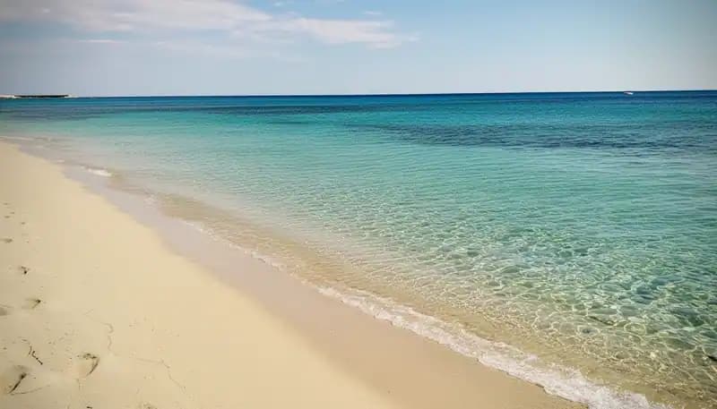 Ayala Beach — Beach (free-access)