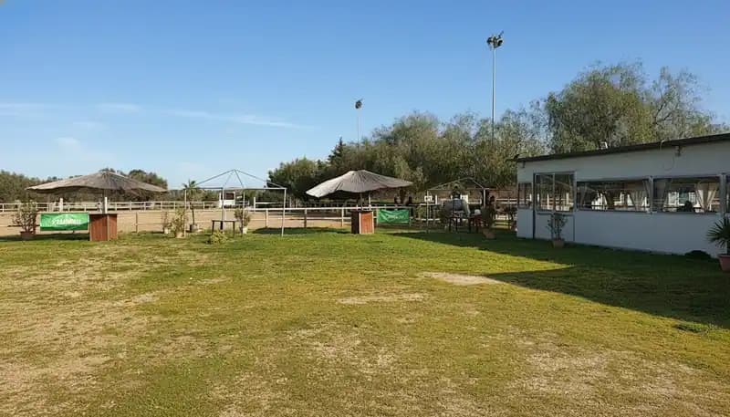 Centro Ippico ASD Colò — Equitazione