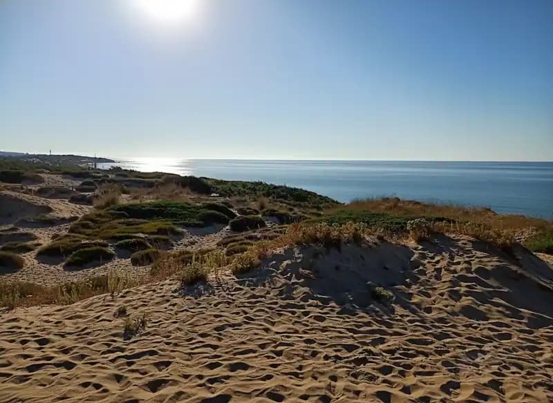 Strand westlich des Hafens — Strand (freier Zugang)