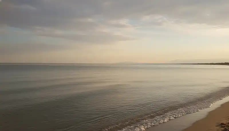 Acquarotta Beach — Beach (free-access)