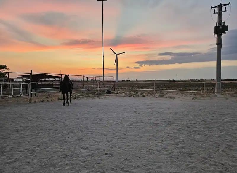 Horseland Equestrian Center — Foggia