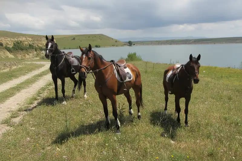 La Sella Equestrian Club — Foggia