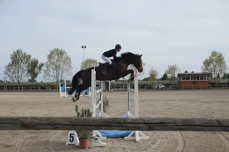 Reitclub Montecolucci — Triggiano