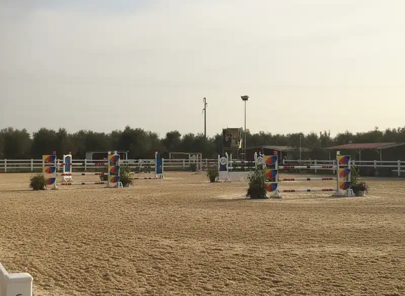 Scuderia Terra Degli Ulivi — Ruvo di Puglia
