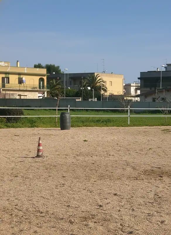 West Horse asd — Taranto