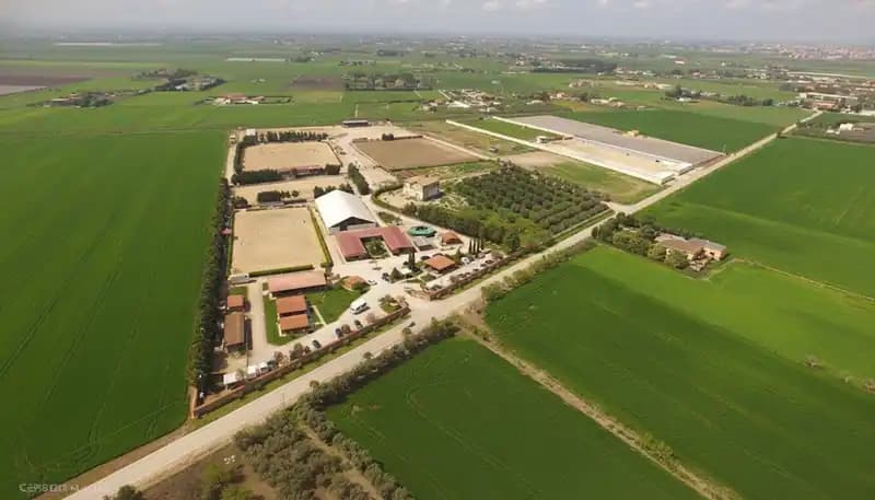 Circolo Ippico Equitare Riding Club — Foggia