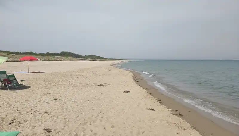 Freistrand Nr. 2 Pino D'Aleppo — Castellaneta