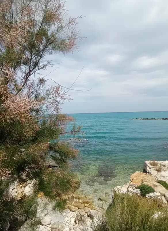 Plage de la Liberté — Bisceglie
